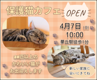猫カフェサイトのバナーデザイン